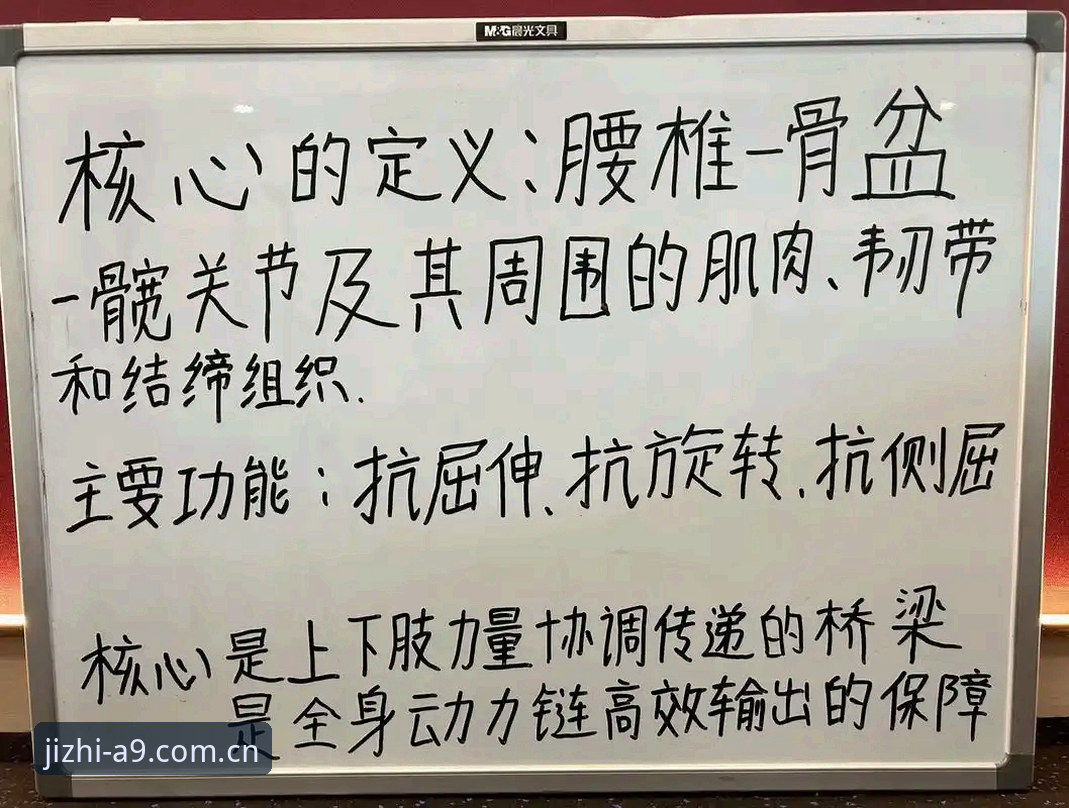 资深用户分享：A9体育使用教程与极致竞技体验心得